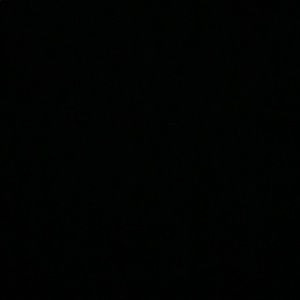 Meet your Posher, Sophie